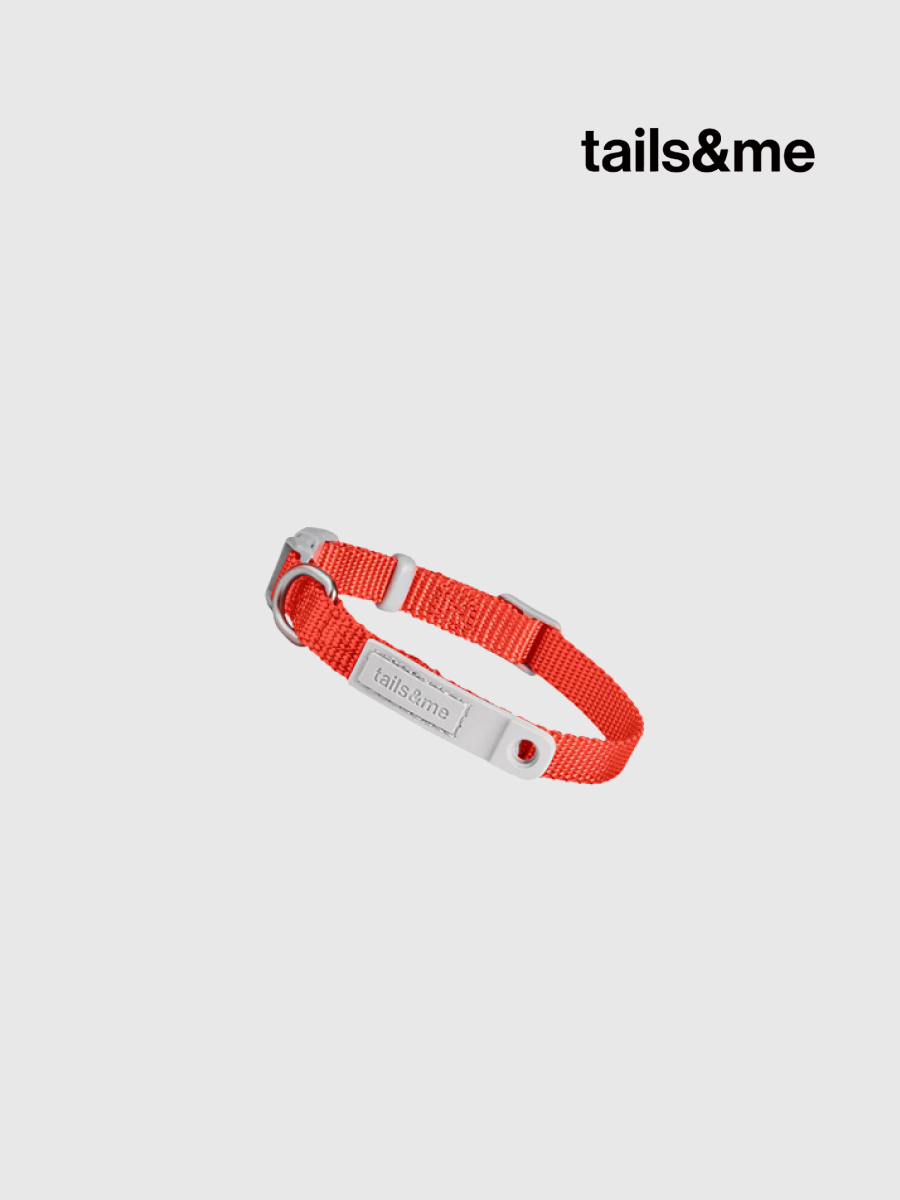 【tails&me 尾巴與我】新經典 貓安全項圈 | TailsCharm™適用｜橙紅 (單色)