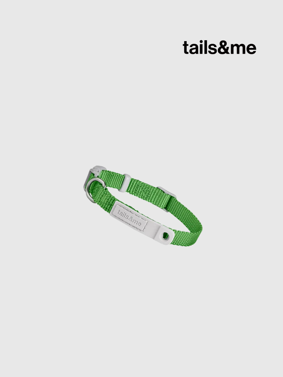 【tails&me 尾巴與我】新經典 貓安全項圈 | TailsCharm™適用｜翠綠 (單色)
