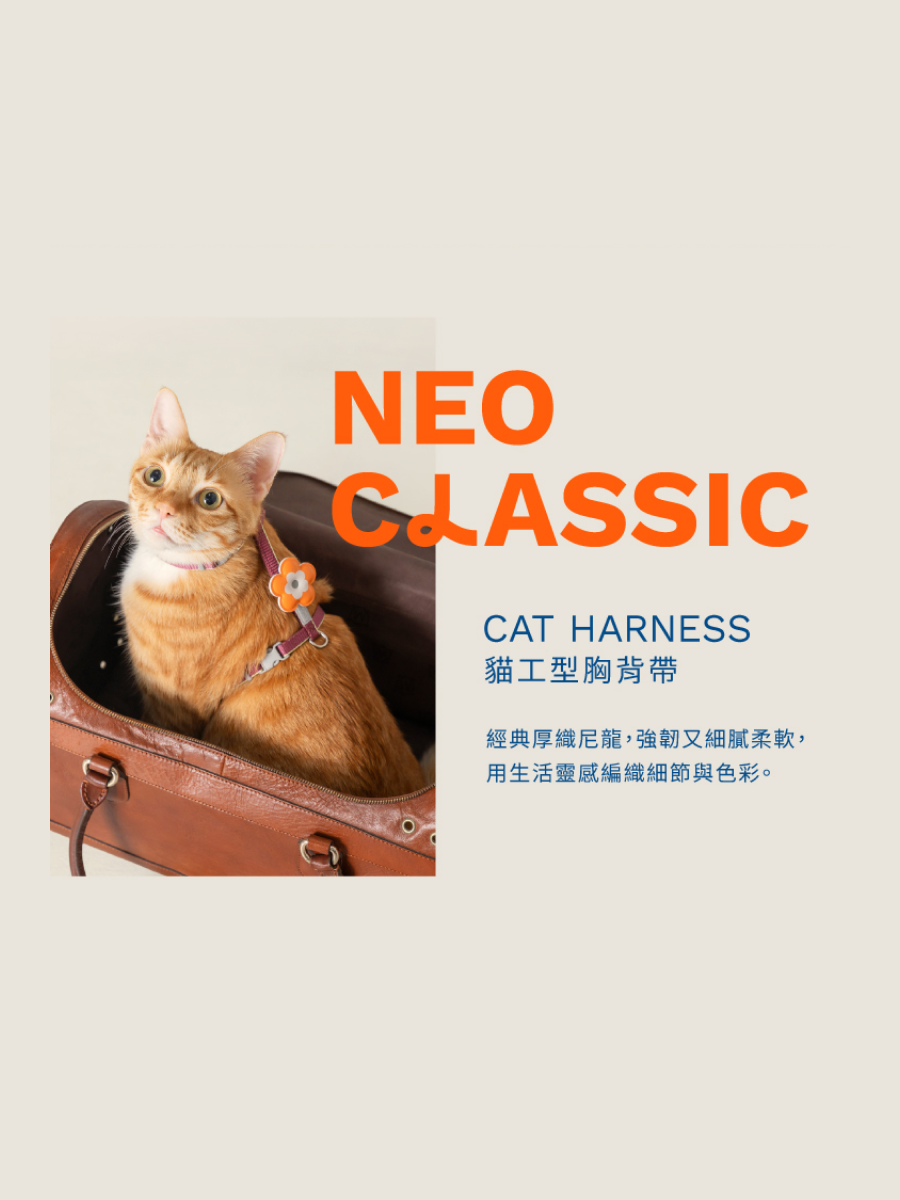 【tails&me 尾巴與我】新經典 貓工型胸背帶 | TailsCharm™適用｜杏黃 (單色)