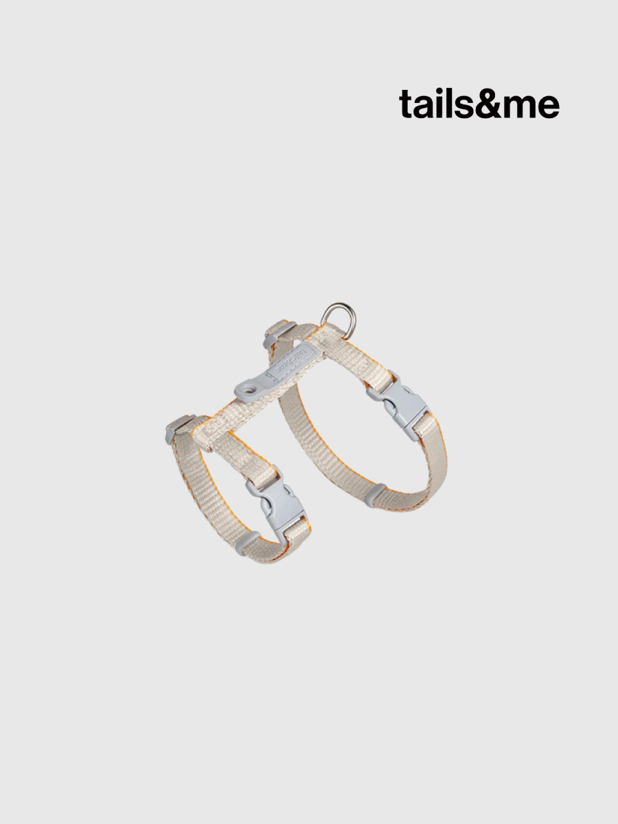 【tails&me 尾巴與我】新經典 貓工型胸背帶 | TailsCharm™適用｜亮灰杏黃 (雙色)