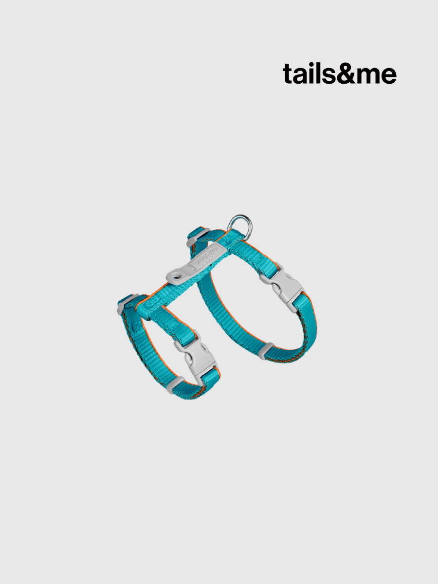 【tails&me 尾巴與我】新經典 貓工型胸背帶 | TailsCharm™適用｜碧綠淺棕 (雙色)
