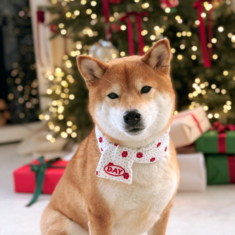 【預購】cuddly day｜ 小花燈芯絨