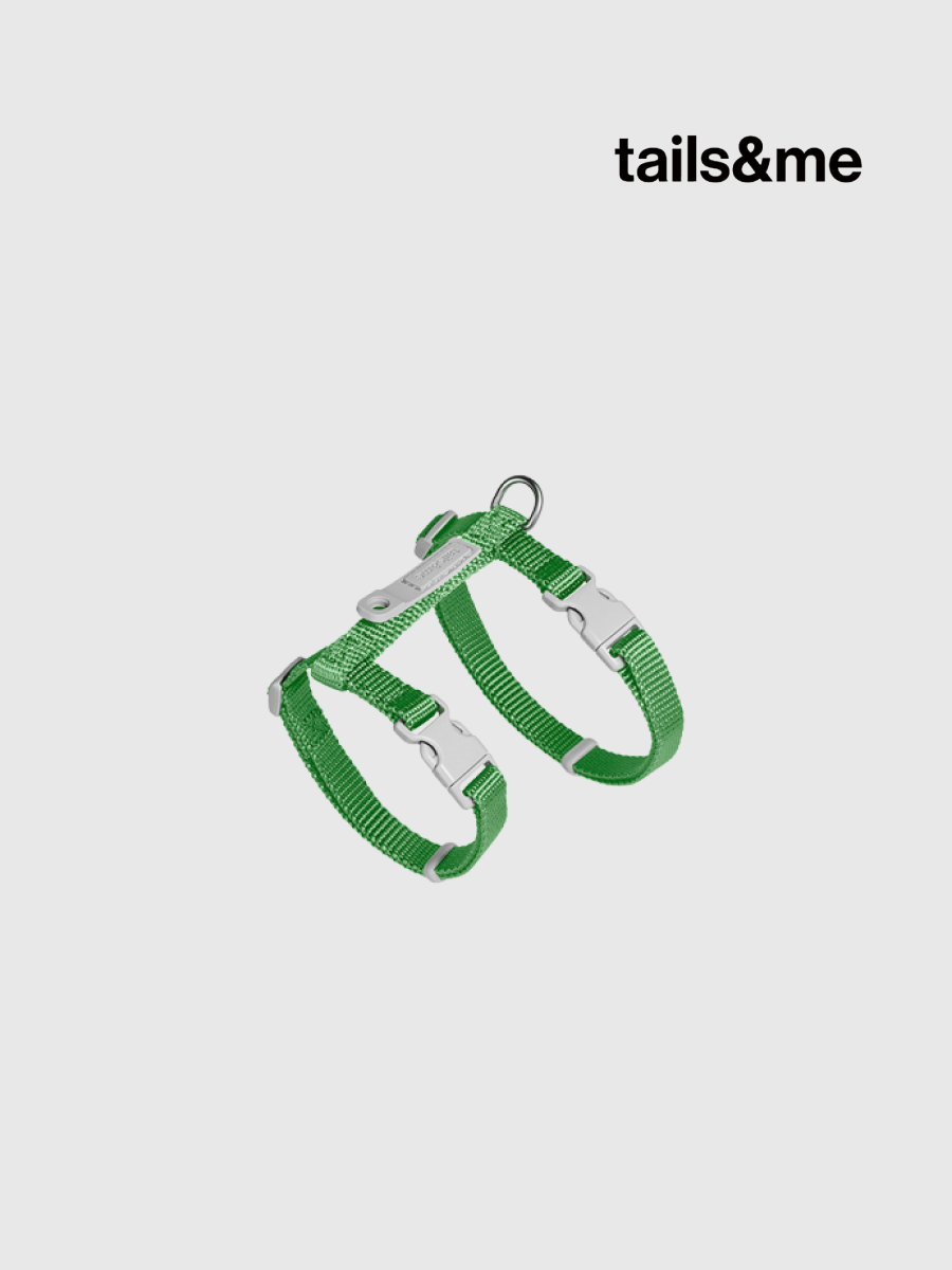 【tails&me 尾巴與我】新經典 貓工型胸背帶 | TailsCharm™適用｜翠綠 (單色)