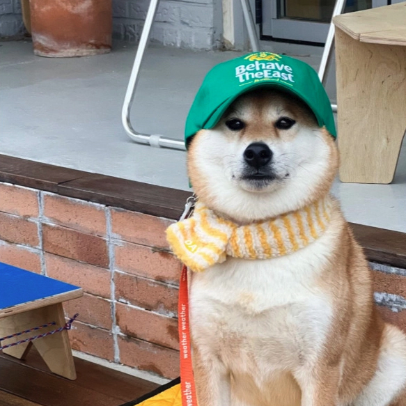 【預購】cuddly day｜ 條紋毛絨絨圍巾