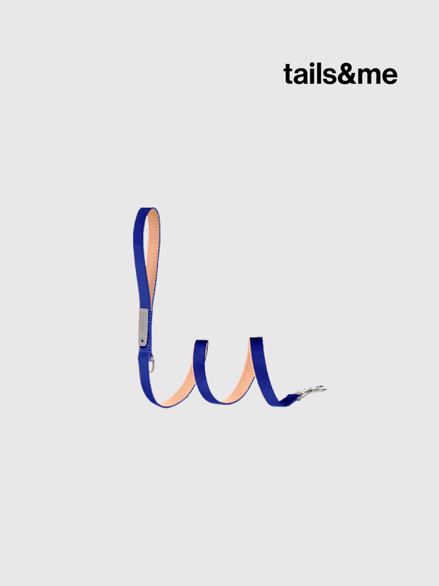 【tails&me 尾巴與我】新經典 犬貓共用標準牽繩 | TailsCharm™適用｜靛藍桃粉 (雙色)
