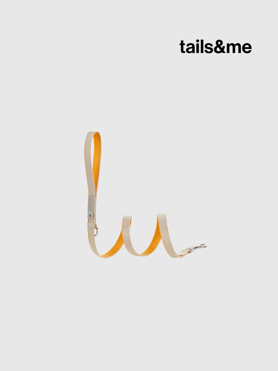 【tails&me 尾巴與我】新經典 犬貓共用標準牽繩 | TailsCharm™適用｜亮灰杏黃 (雙色)
