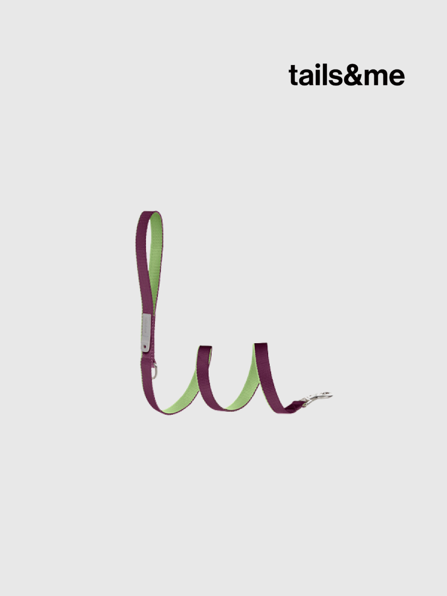 【tails&me 尾巴與我】新經典 犬貓共用標準牽繩 | TailsCharm™適用｜萄紫茶綠 (雙色)