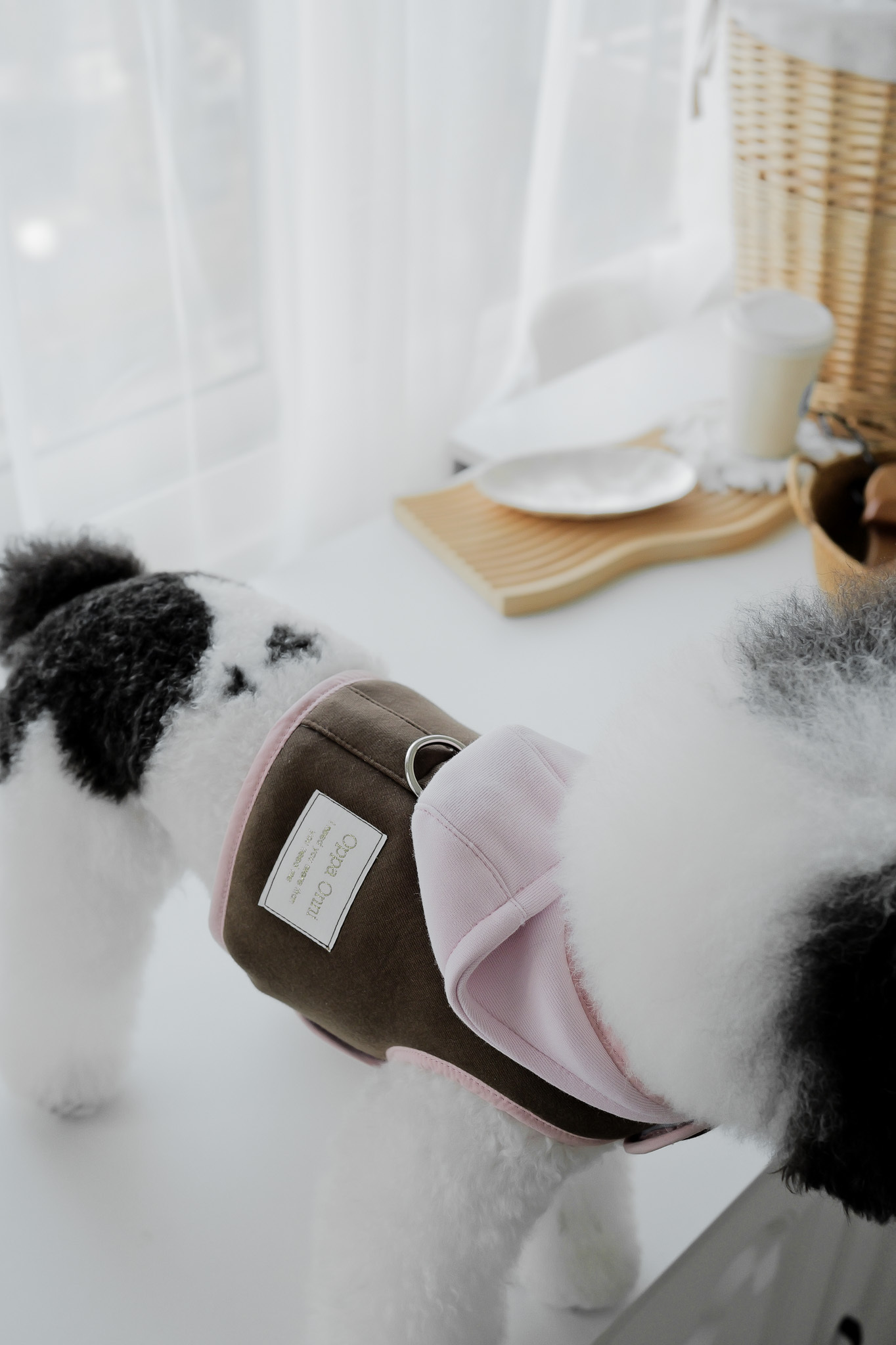 撞色帽T胸背 - 咖粉