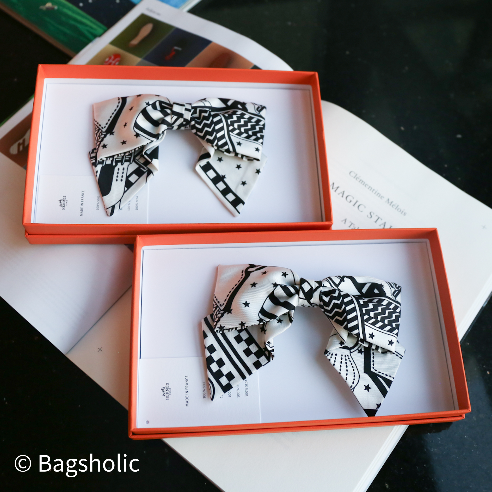 Hermes Hair Clip