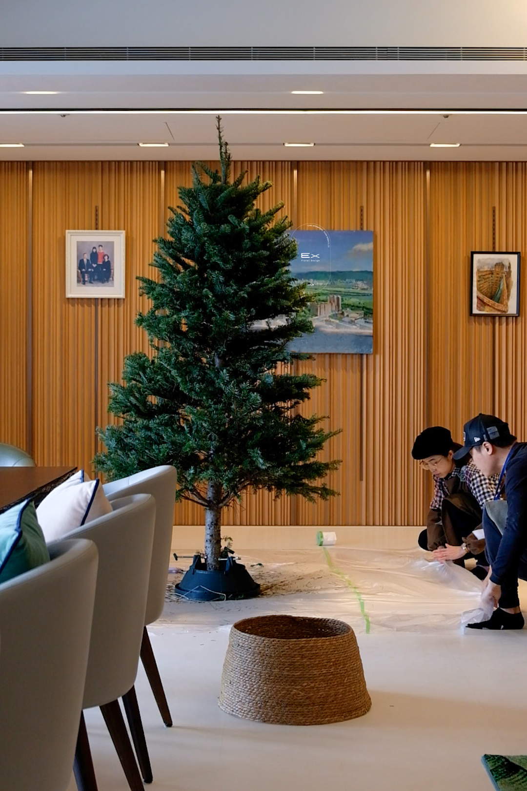 *預購預計11月底發貨* 進口諾貝松聖誕樹 Noble Fir