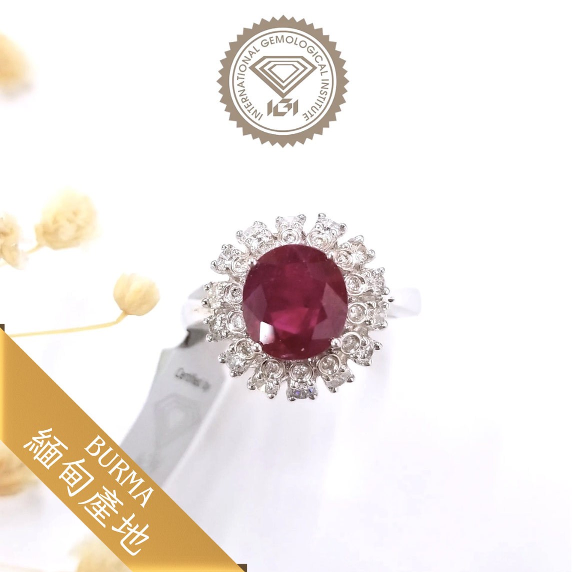 18K White Gold 2.91ct Ruby and Diamond Ring