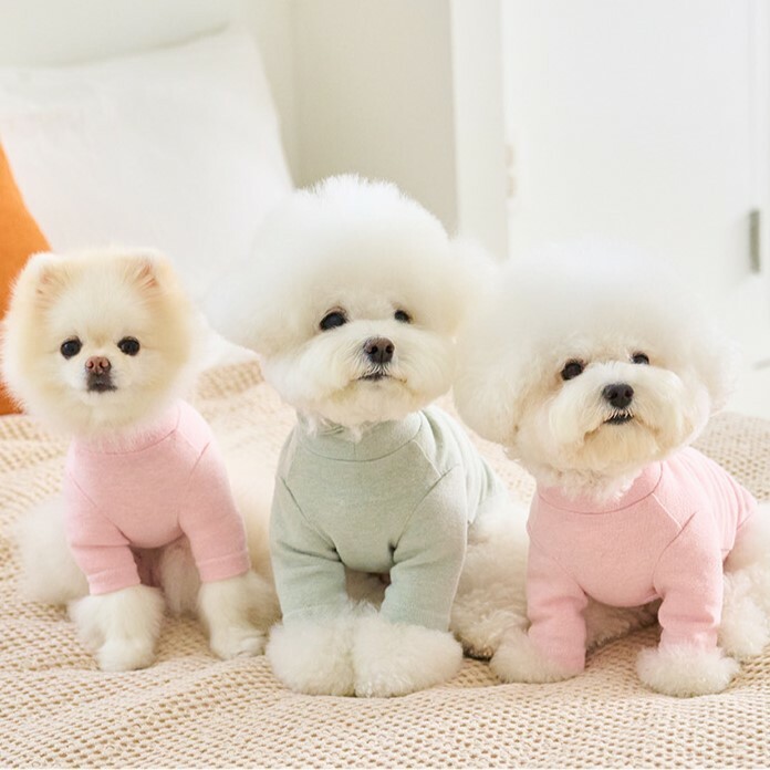 Noutti 蘇打水高領衫