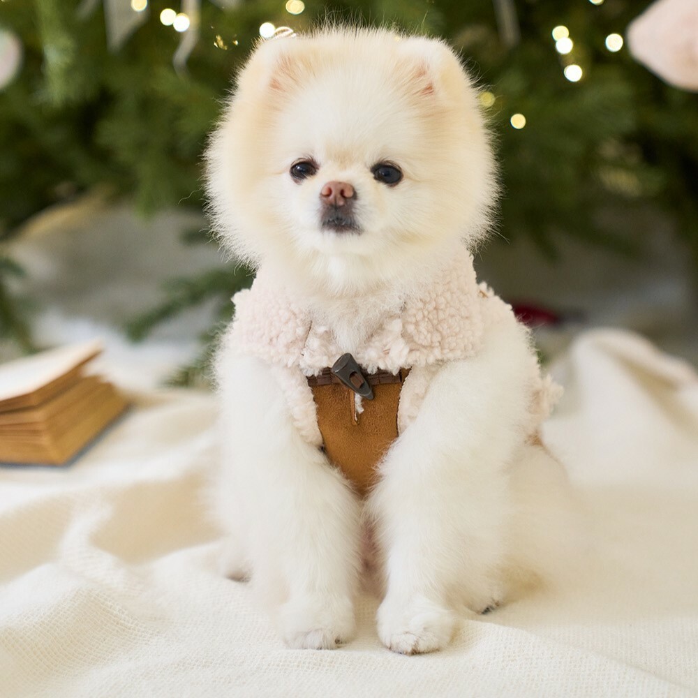 Noutti 焦糖小野馬斗篷