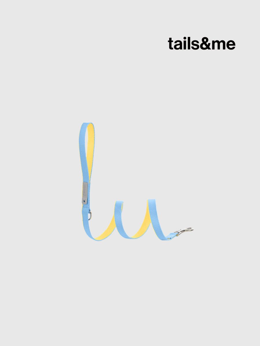 【tails&me 尾巴與我】新經典 犬貓共用標準牽繩 | TailsCharm™適用｜水藍亮黃 (雙色)