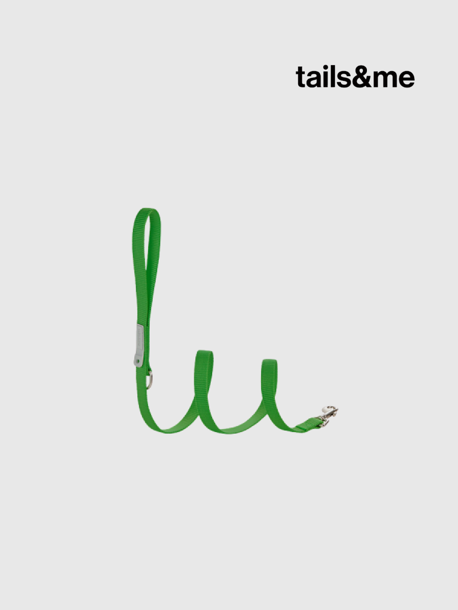 【tails&me 尾巴與我】新經典 犬貓共用標準牽繩 | TailsCharm™適用｜翠綠 (單色)