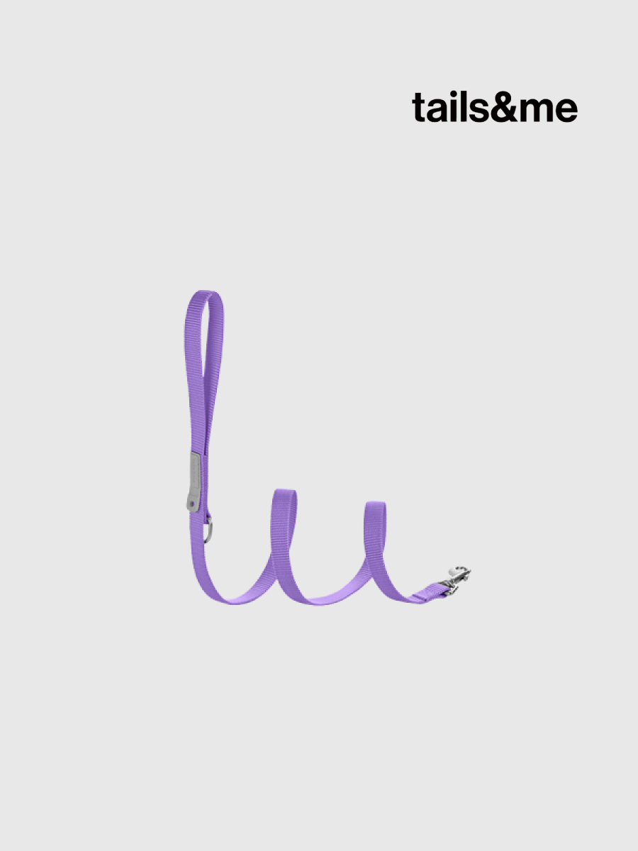 【tails&me 尾巴與我】新經典 犬貓共用標準牽繩 | TailsCharm™適用｜蘭紫 (單色)