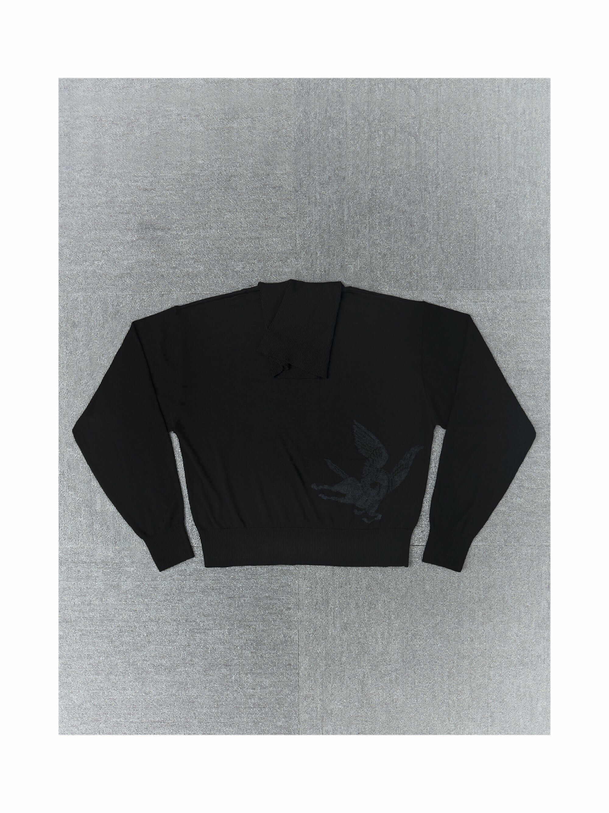 1dyLL / 10SS PEGASUS BRUSHED TURTLENECK
