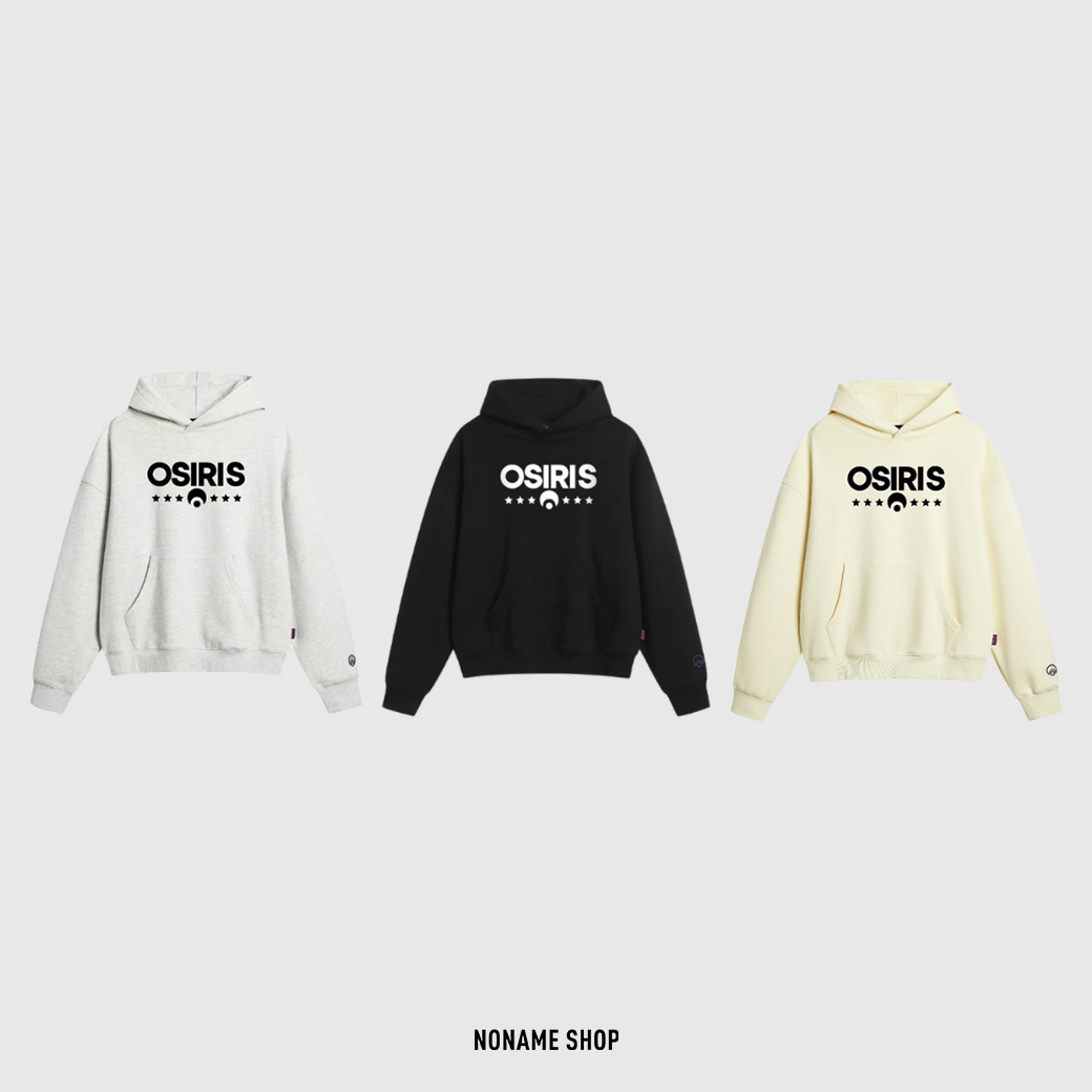 OSIRIS Cleanfit 重磅 字母LOGO 美式街頭 刷毛 連帽 帽T 三色 (男款)