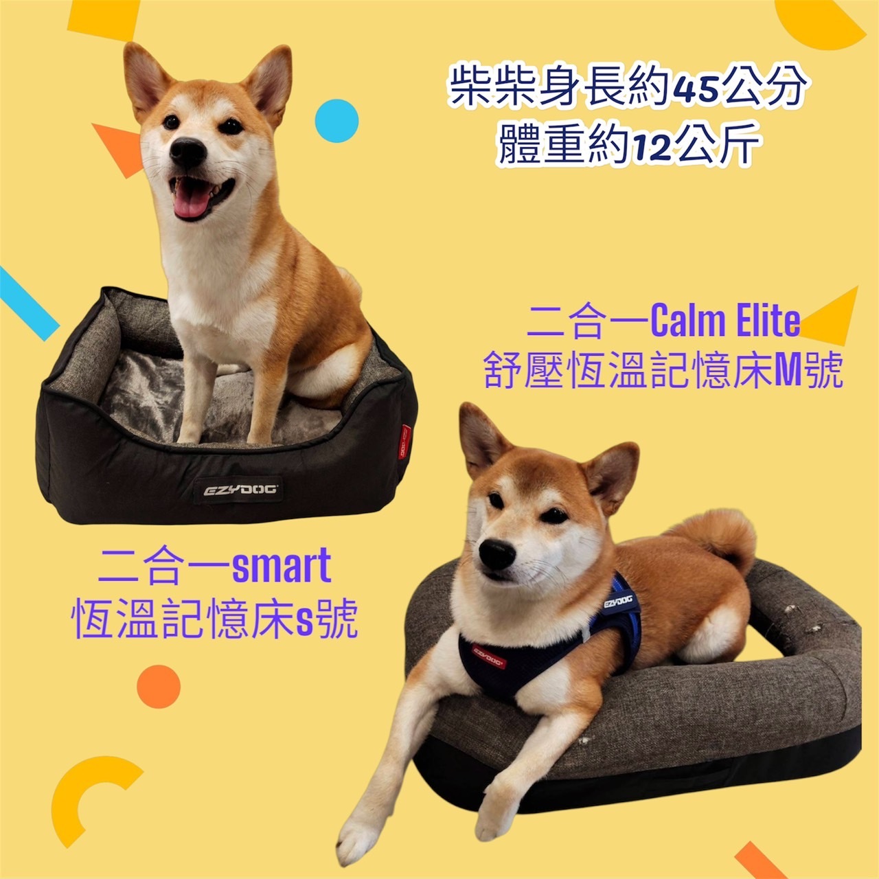 澳洲EZYDOG 二合一Calm Elite舒壓恆溫記憶寵物床｜記憶散熱層｜防水層｜四邊圓角包覆