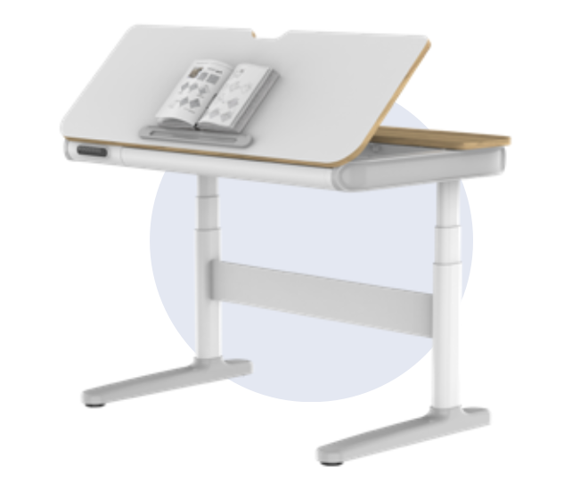 Flexispot Height-adjustable study desk SD8