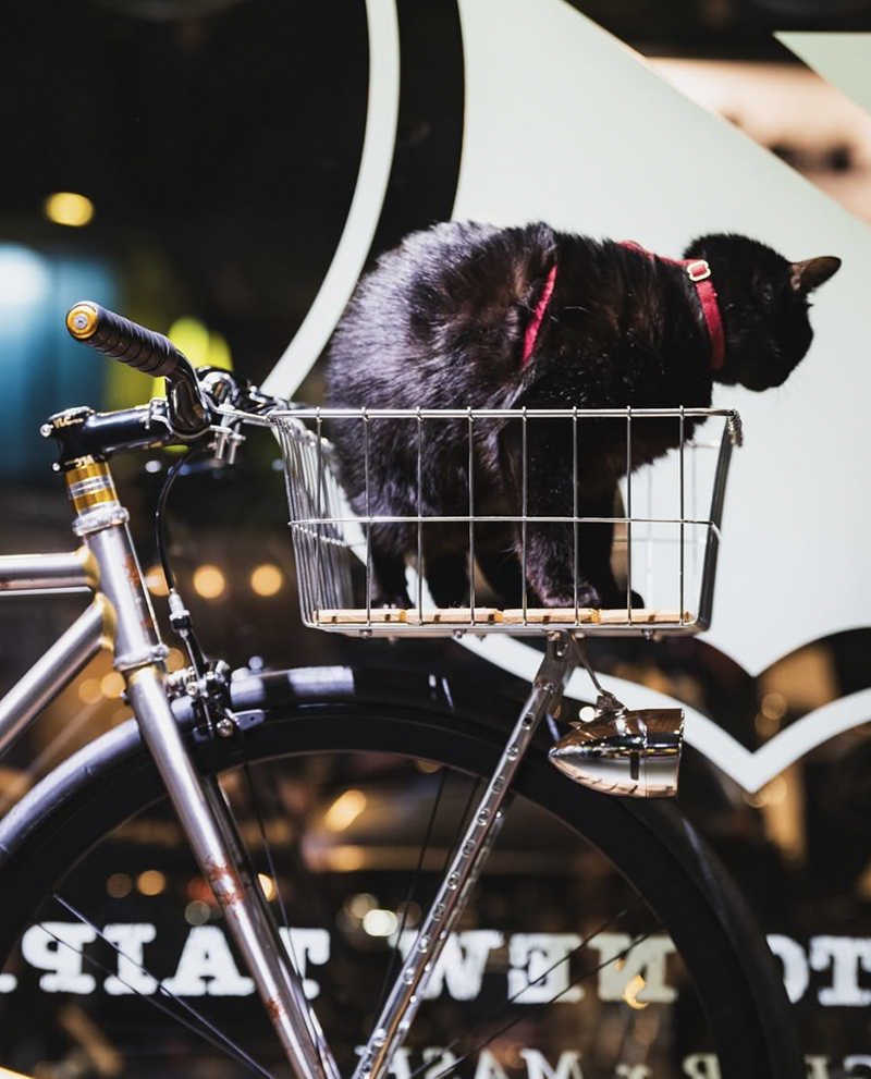 WALD 1392WW 木板自行車籃