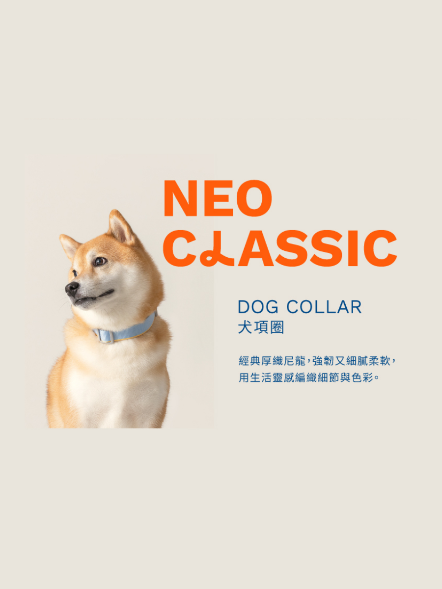【tails&me 尾巴與我】新經典 犬項圈 | TailsCharm™適用｜亮灰 (單色)