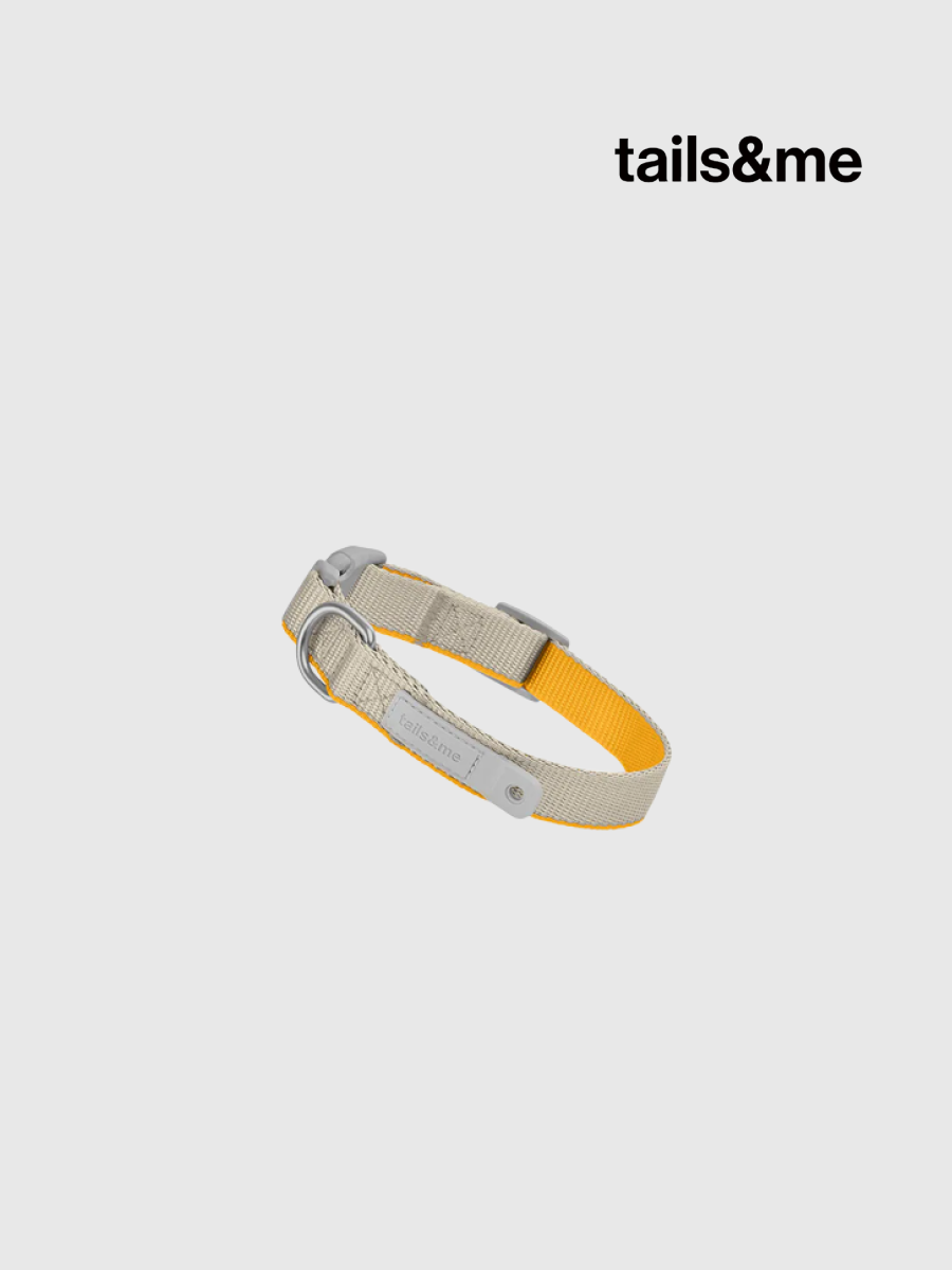 【tails&me 尾巴與我】新經典 犬項圈 | TailsCharm™適用｜亮灰杏黃 (雙色)