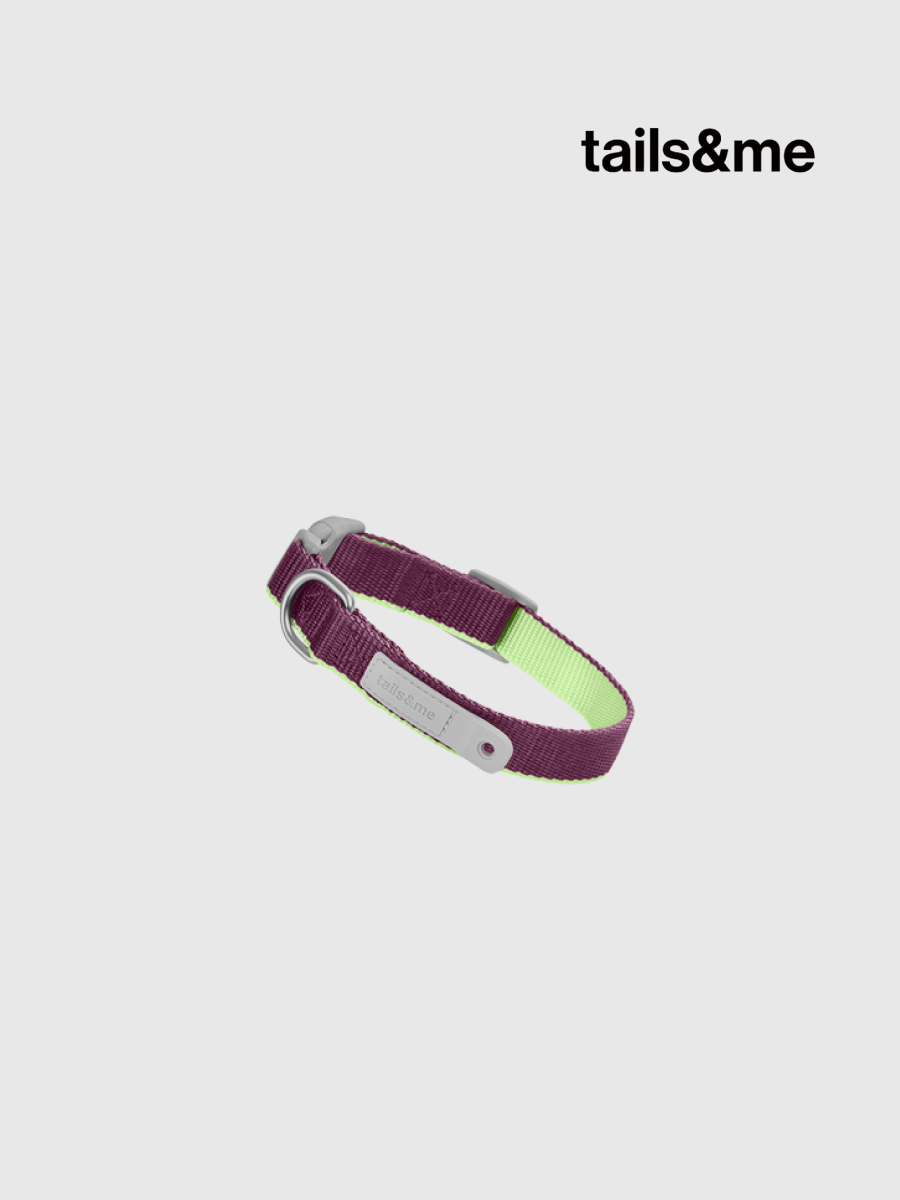 【tails&me 尾巴與我】新經典 犬項圈 | TailsCharm™適用｜萄紫茶綠 (雙色)
