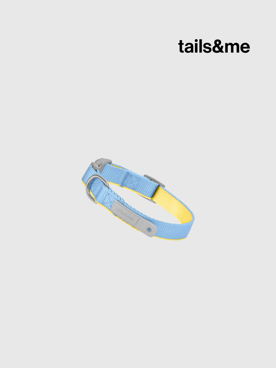 【tails&me 尾巴與我】新經典 犬項圈 | TailsCharm™適用｜水藍亮黃 (雙色)
