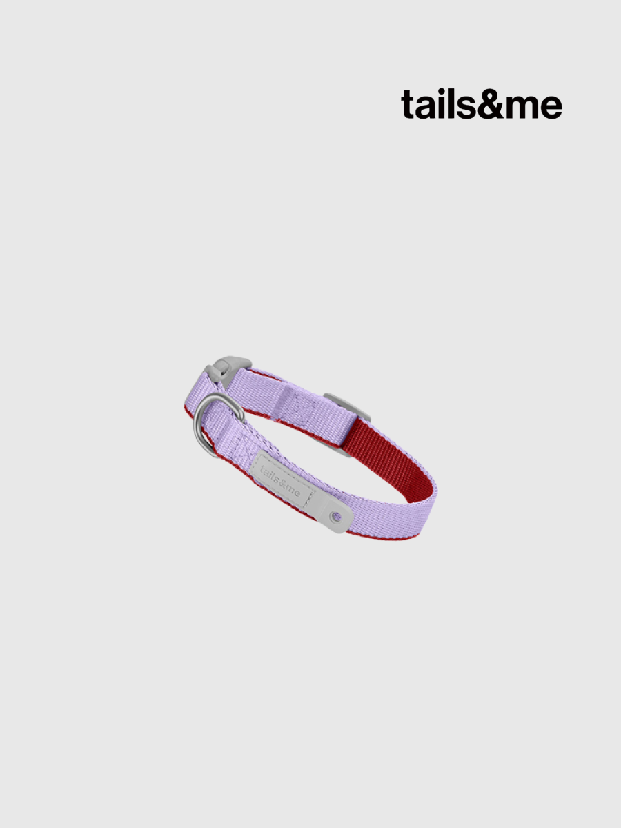 【tails&me 尾巴與我】新經典 犬項圈 | TailsCharm™適用｜粉紫丹紅 (雙色)