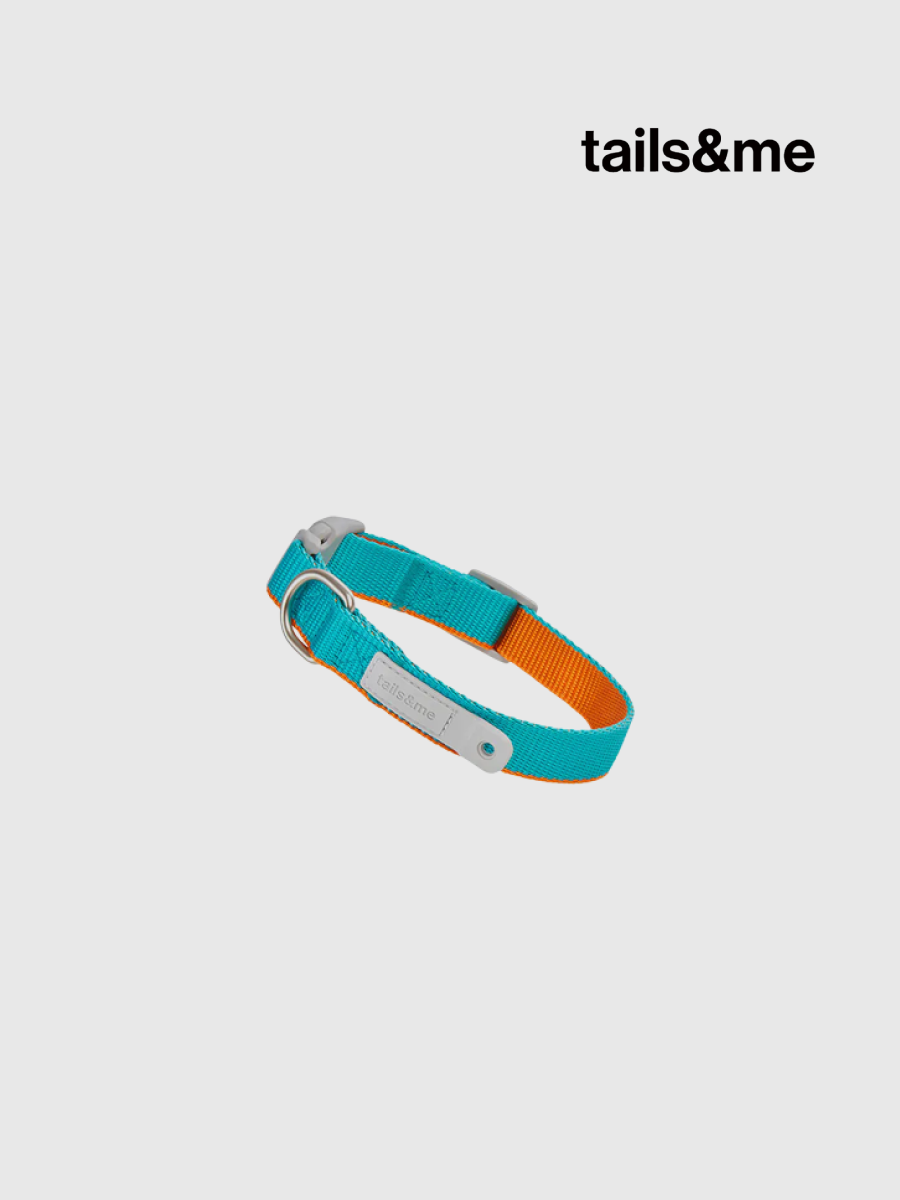 【tails&me 尾巴與我】新經典 犬項圈 | TailsCharm™適用｜碧綠淺棕 (雙色)