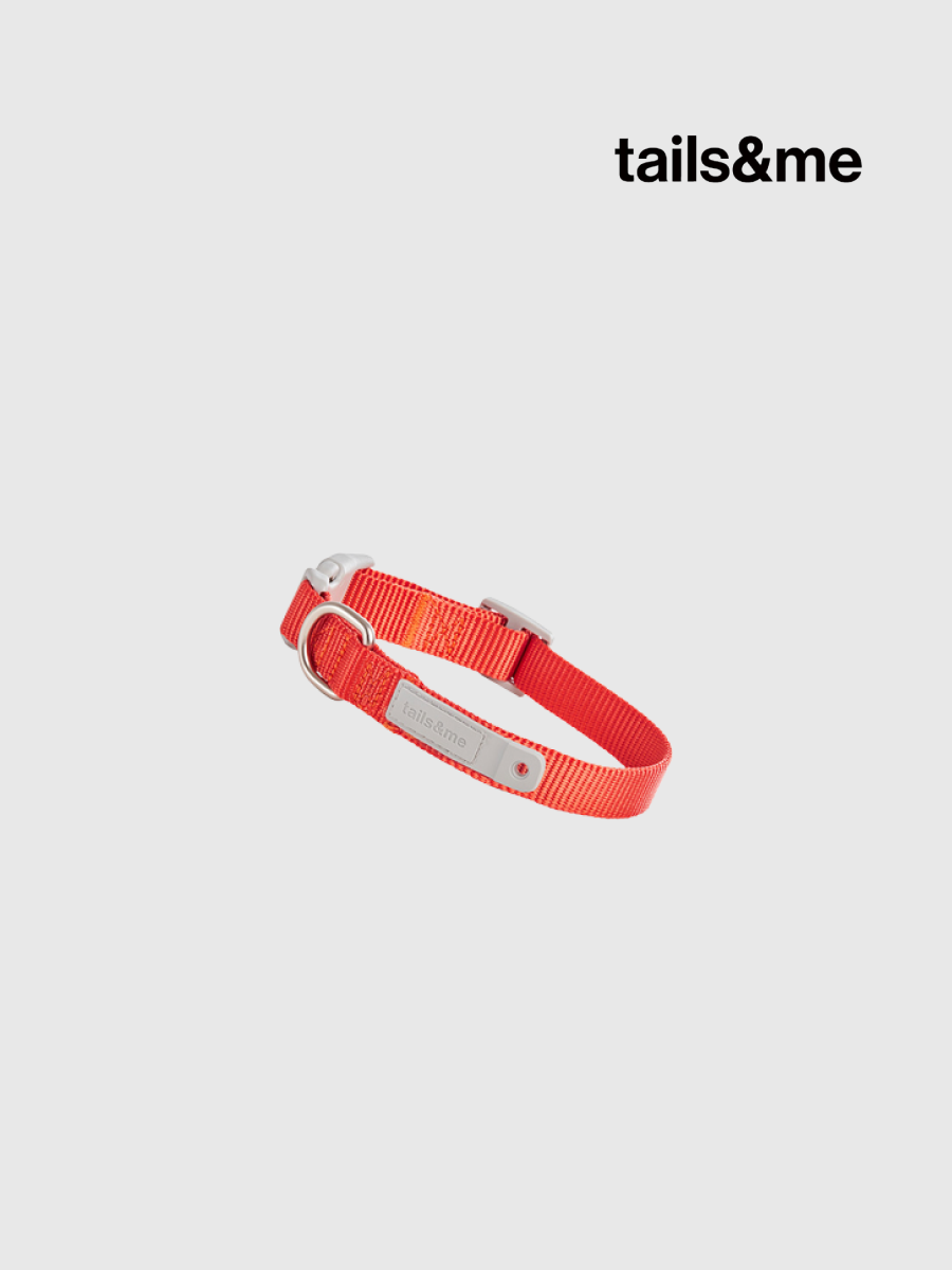 【tails&me 尾巴與我】新經典 犬項圈 | TailsCharm™適用｜橙紅 (單色)