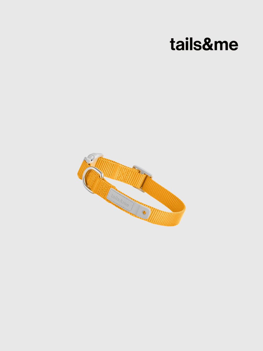 【tails&me 尾巴與我】新經典 犬項圈 | TailsCharm™適用｜杏黃 (單色)