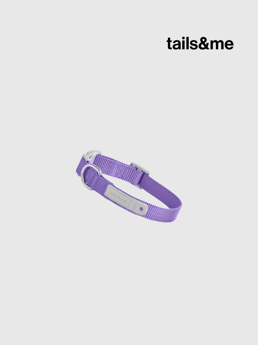 【tails&me 尾巴與我】新經典 犬項圈 | TailsCharm™適用｜蘭紫 (單色)