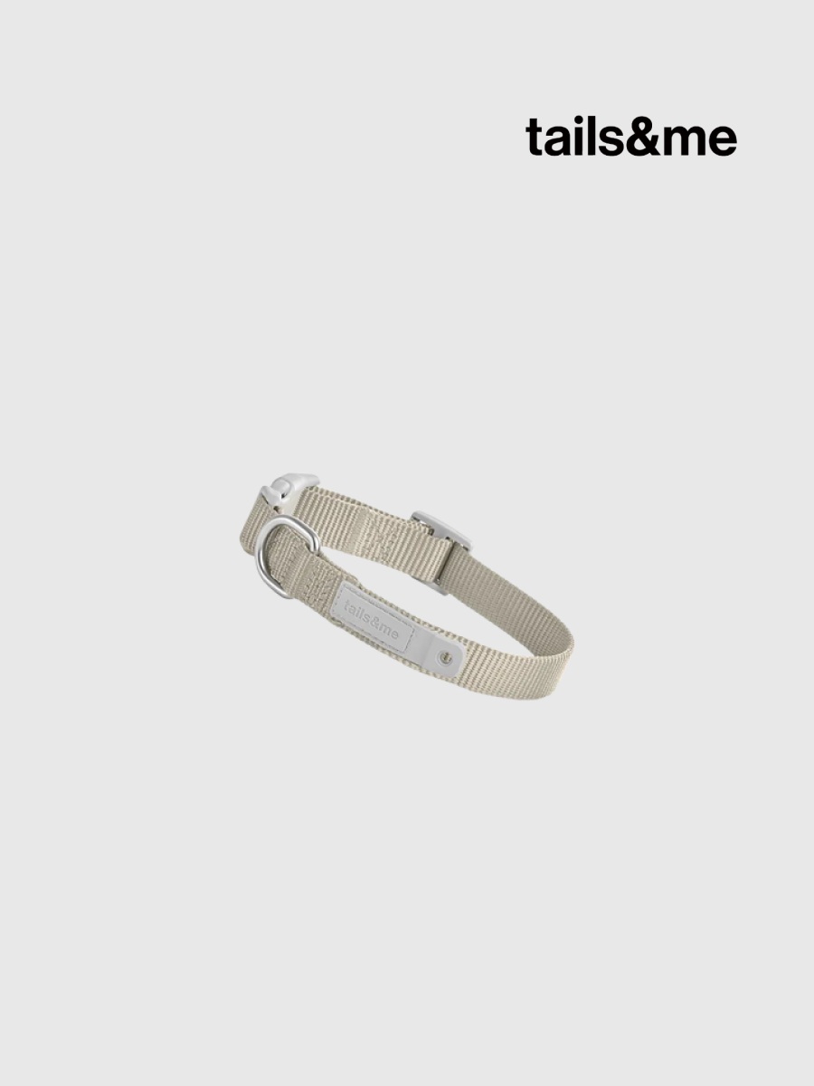 【tails&me 尾巴與我】新經典 犬項圈 | TailsCharm™適用｜亮灰 (單色)
