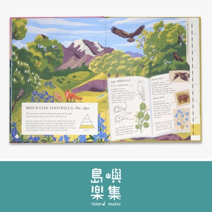 There's a Mountain in This Book