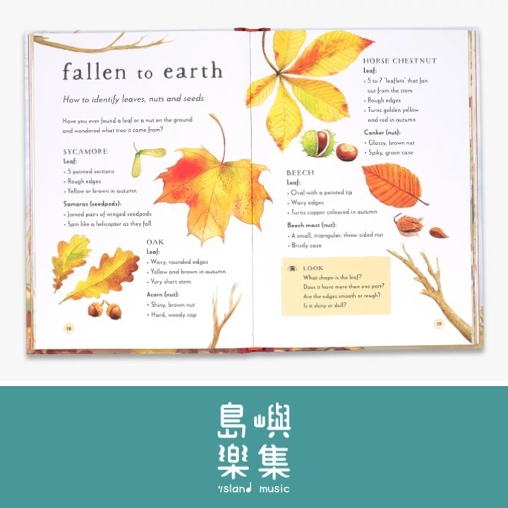 A Field Guide to Autumn: Play and learn in nature