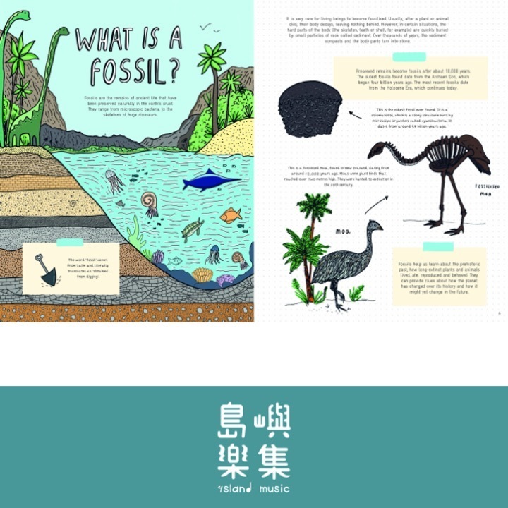 Stones and Bones: Fossils and the stories they tell