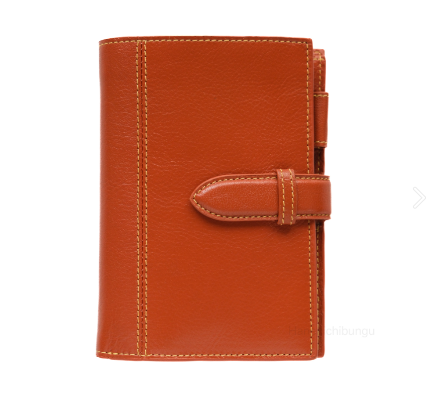 MINI6 M6 本體 DEEP 多功能收納 牛皮 橘色｜ASHFORD 日本