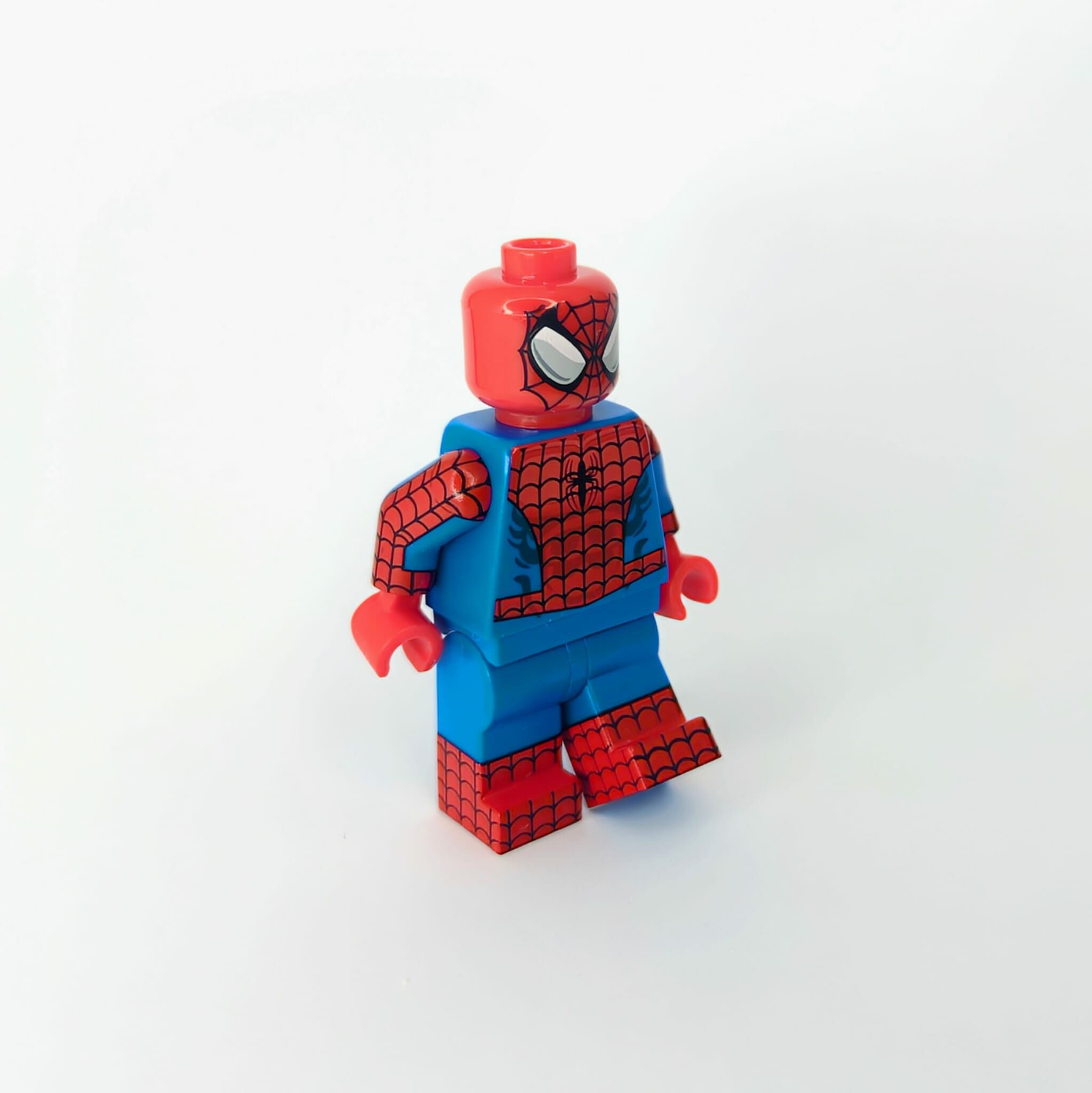 【Bob's Customs】經典蜘蛛 V2