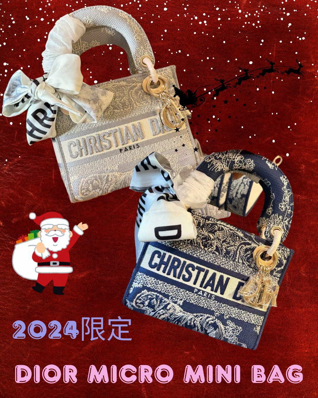 2024限定Dior Micro Mini 戴妃包