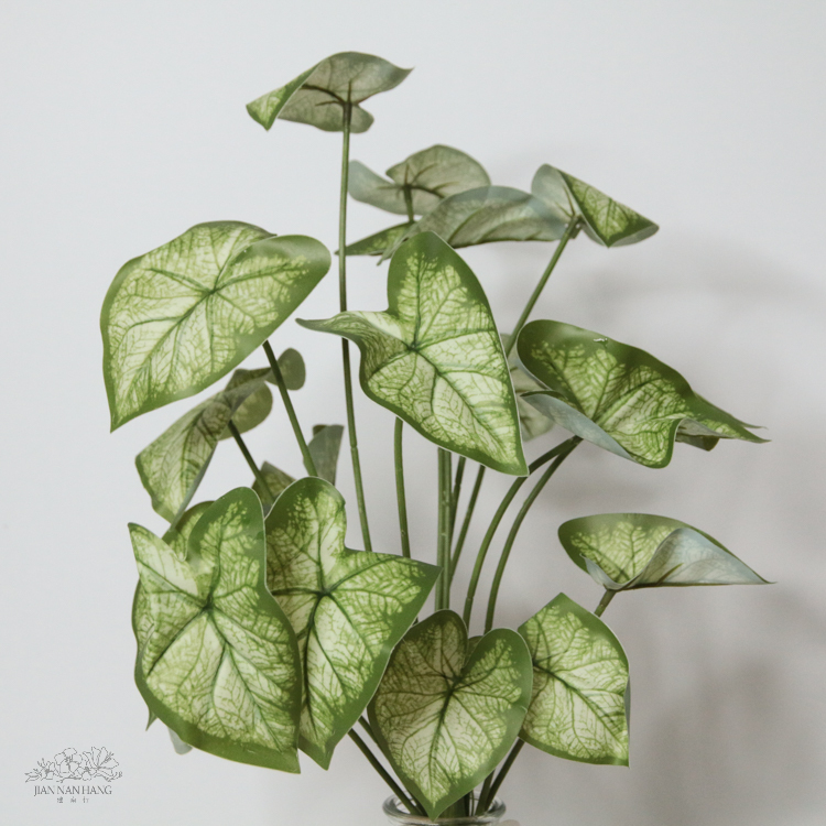 出清品人造葉 合果芋束