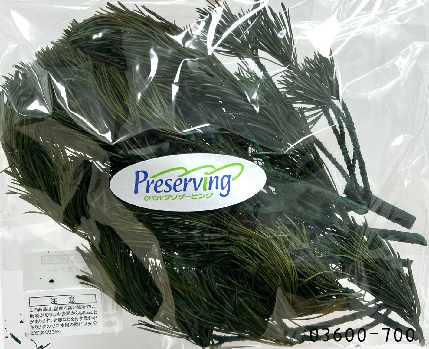 日本不凋五葉松 03600-700