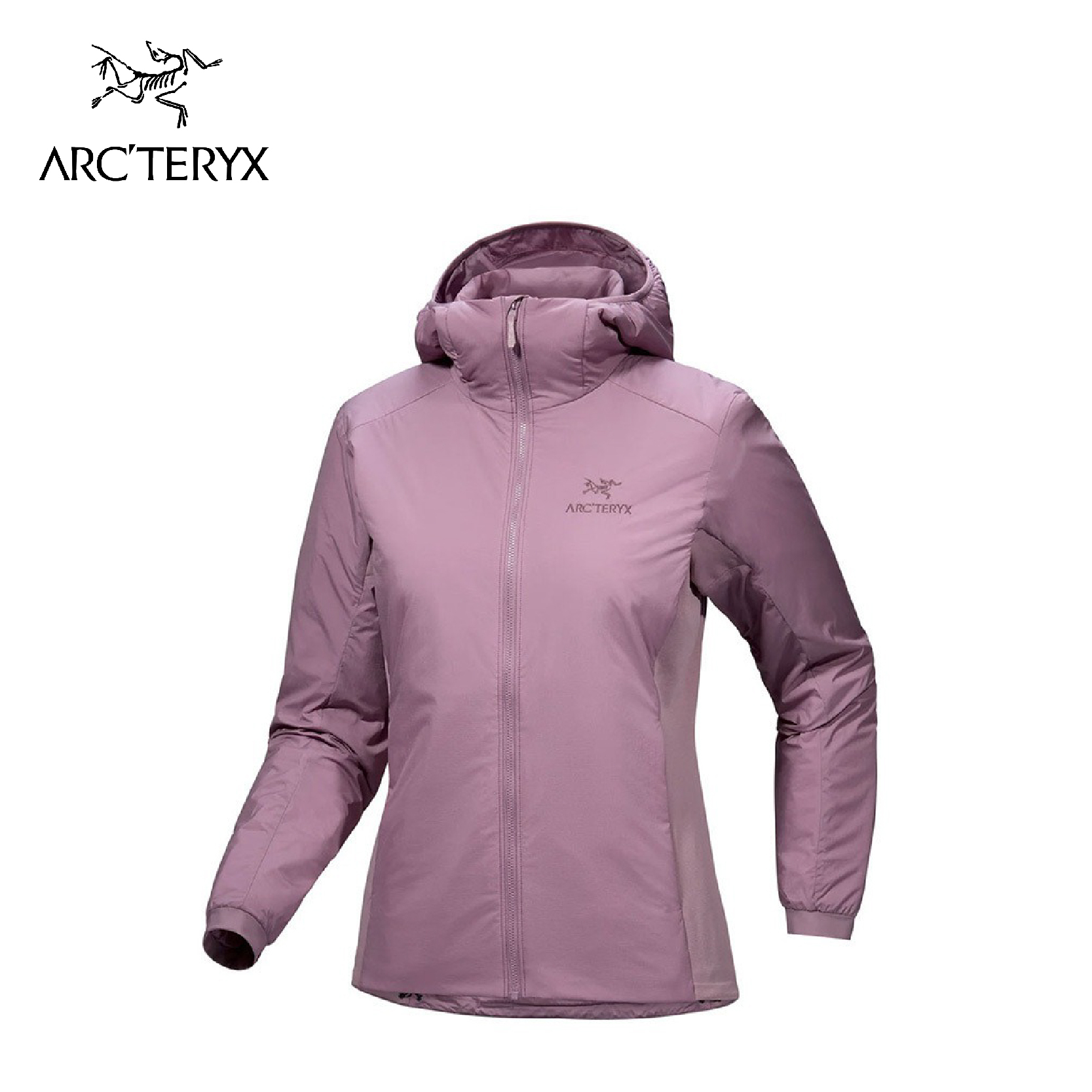 Arcteryx 始祖鳥 女 Atom 化纖外套 星界紫 04AT06780