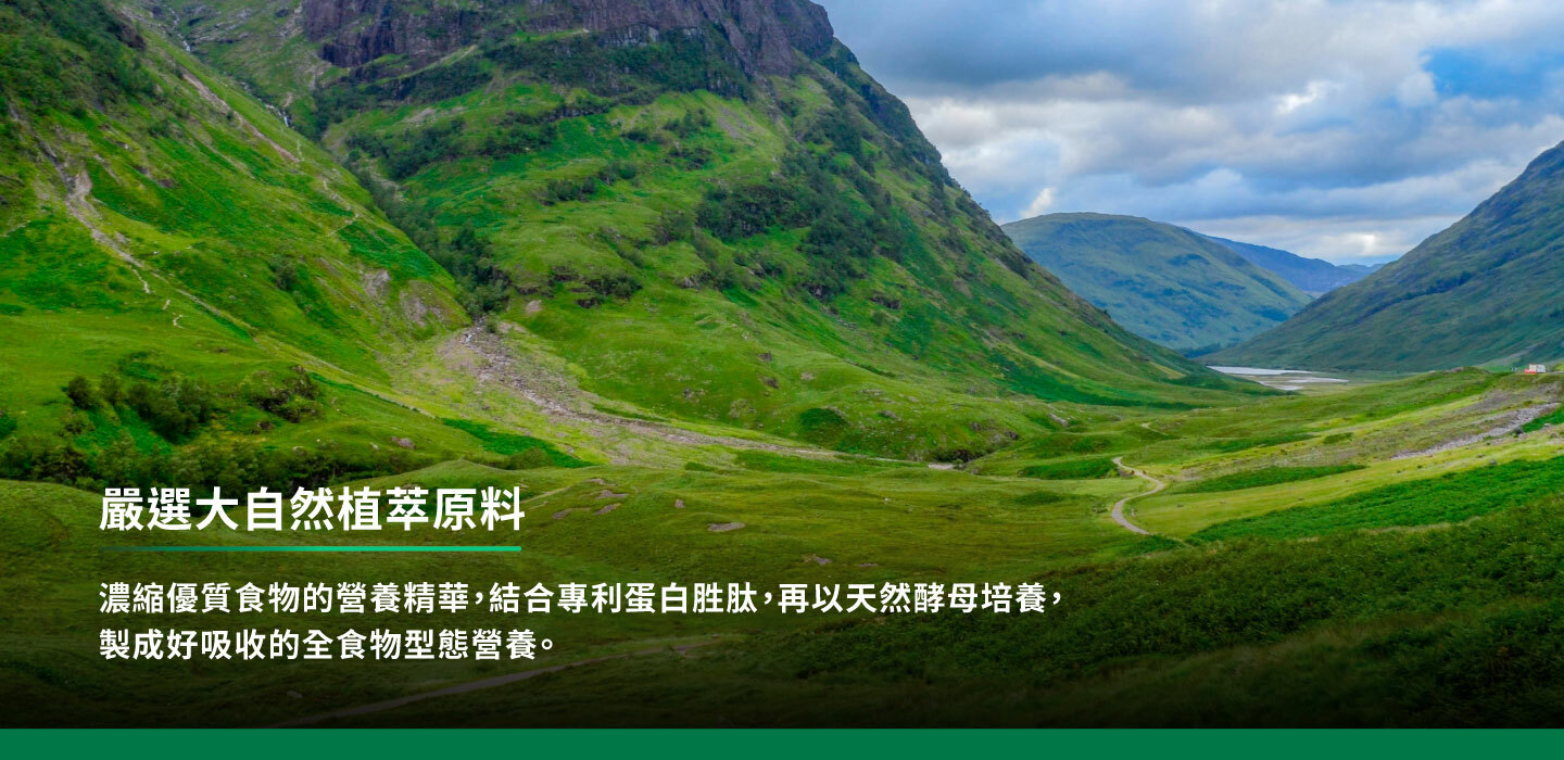 濃縮優質食物的營養精華,結合專利蛋白胜肽,再以天然酵母搭配,製成好吸收的全食物形態營養