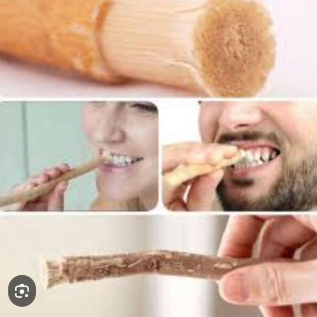 (1523)Alepia 天然有機 Siwak 粘土牙膏75ml