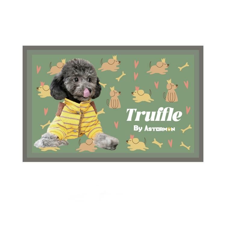 The Wonderland  ( Rectangle )