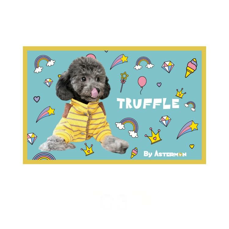 Planet Of Sapphire ( Rectangle )