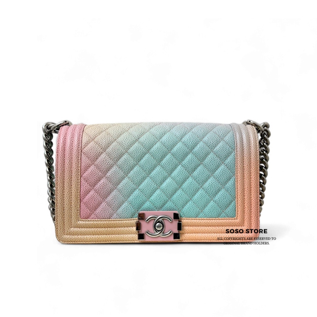 Chanel Boy 25 Bag - Rainbow / Shw