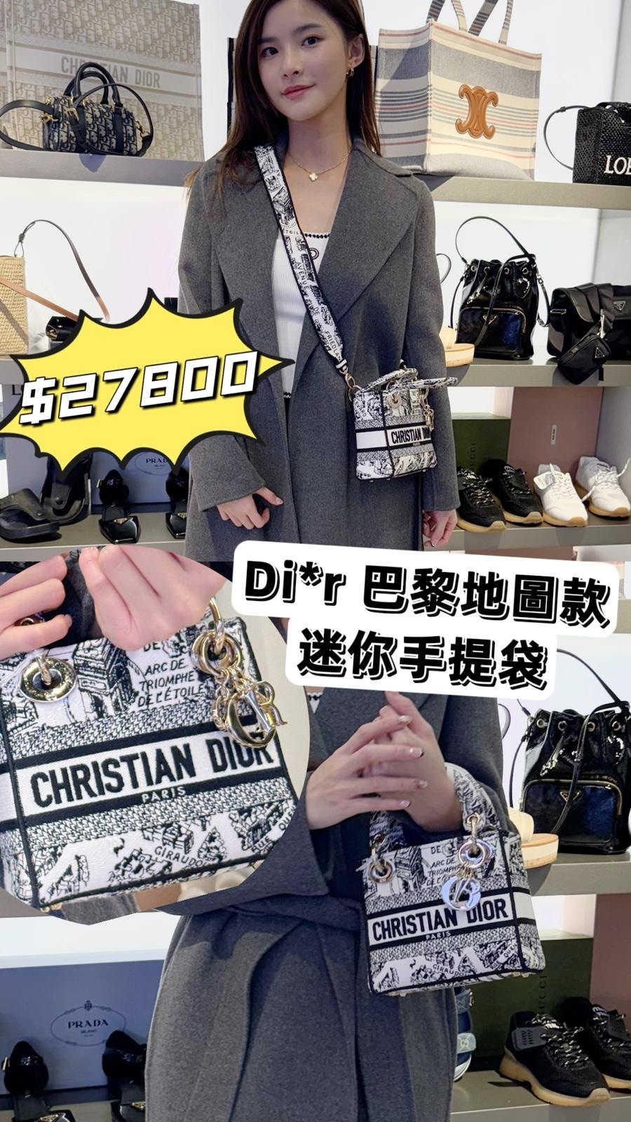 Dior 設計款手提包-T